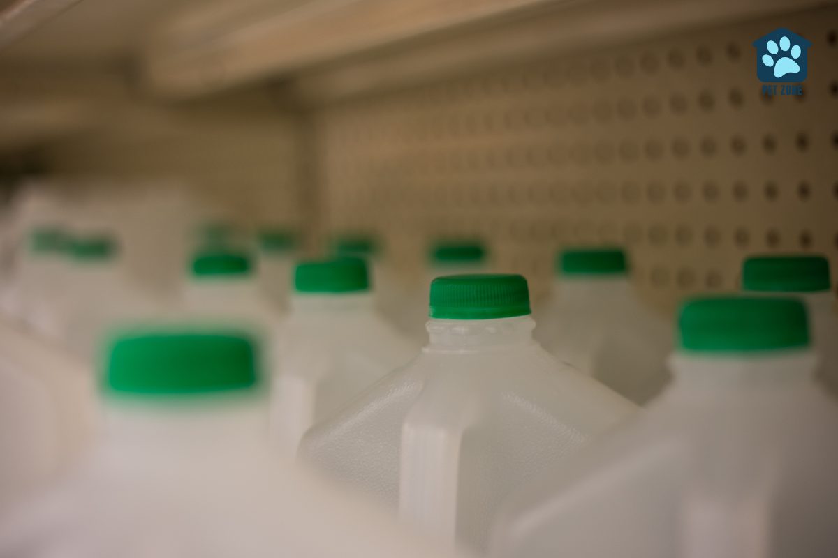 gallons of distilled water at store